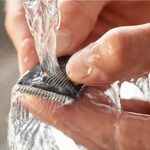 Product Image - 1497